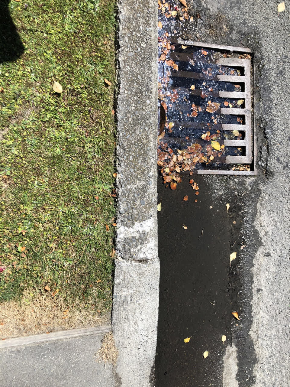 The photograph attached to this wastewater/stormwater report