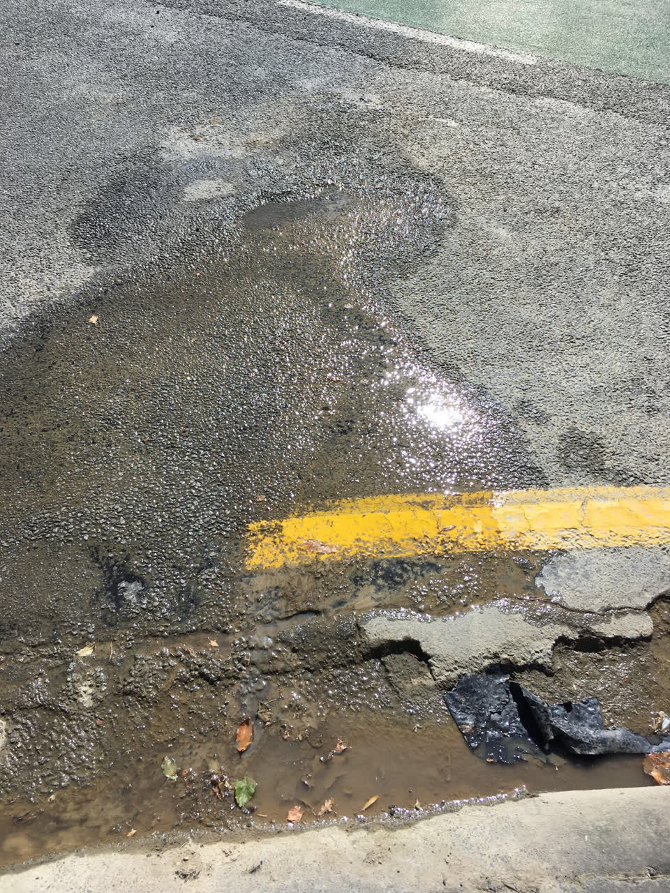 The photograph attached to this water leak report