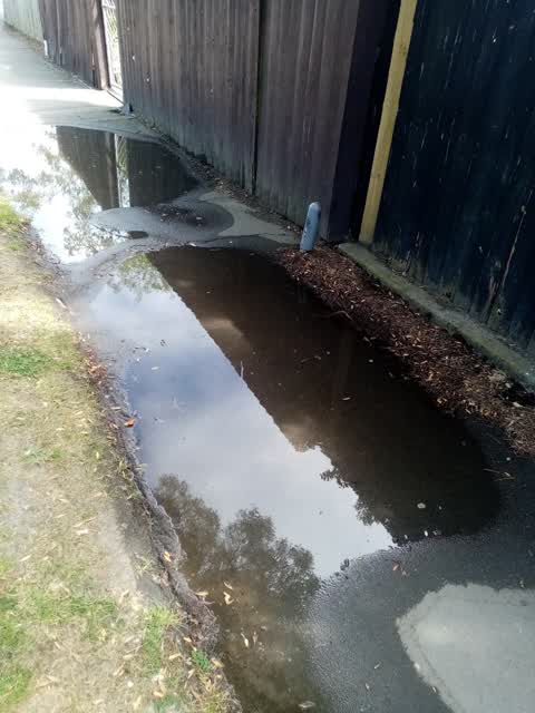 Street Light Outage, a report photo