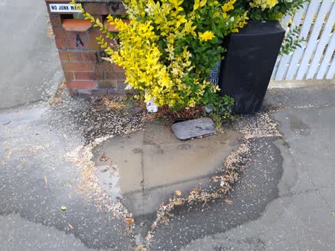 Water Leak, a report photo