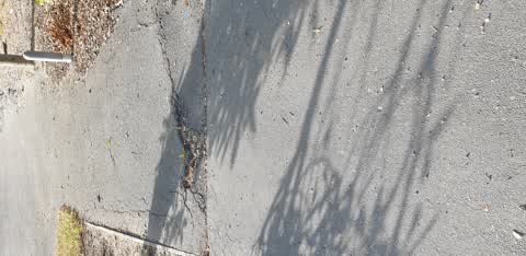 Street Light Outage, a report photo