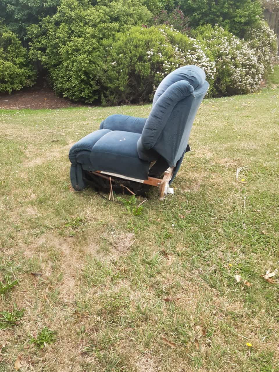 The photograph attached to this parks report
