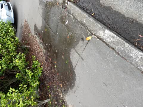 Water Leak, a report photo