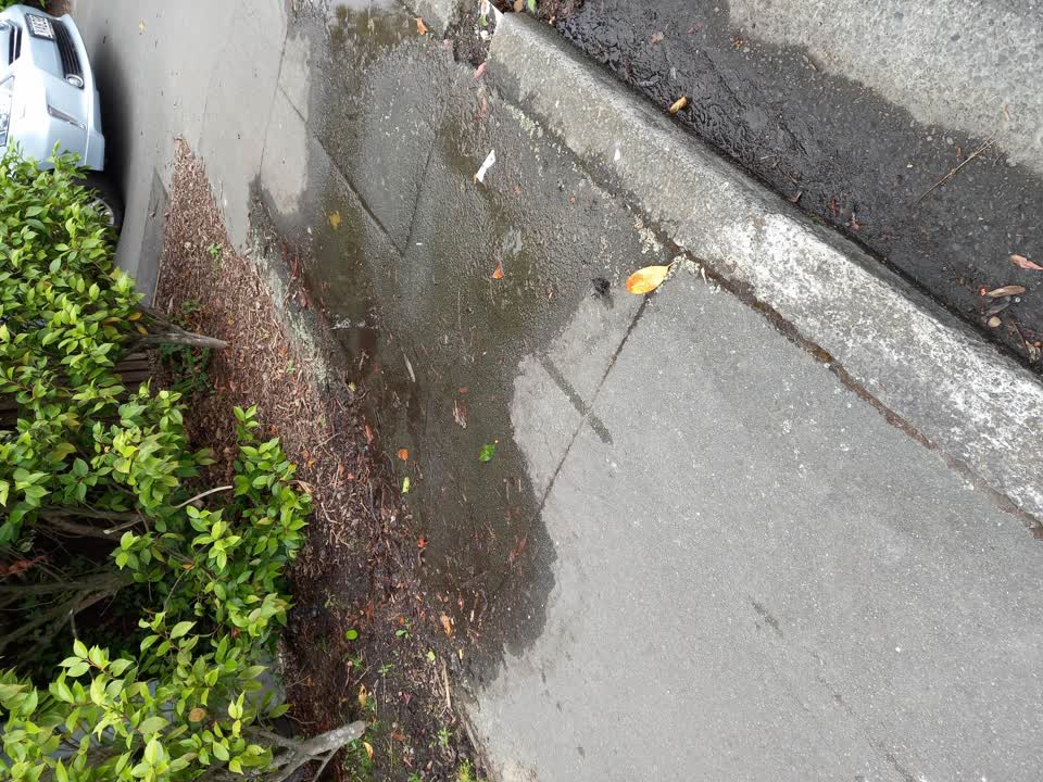 The photograph attached to this water leak report