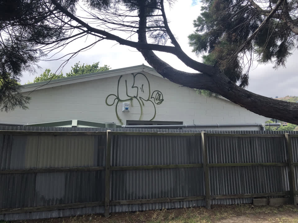 The photograph attached to this graffiti report