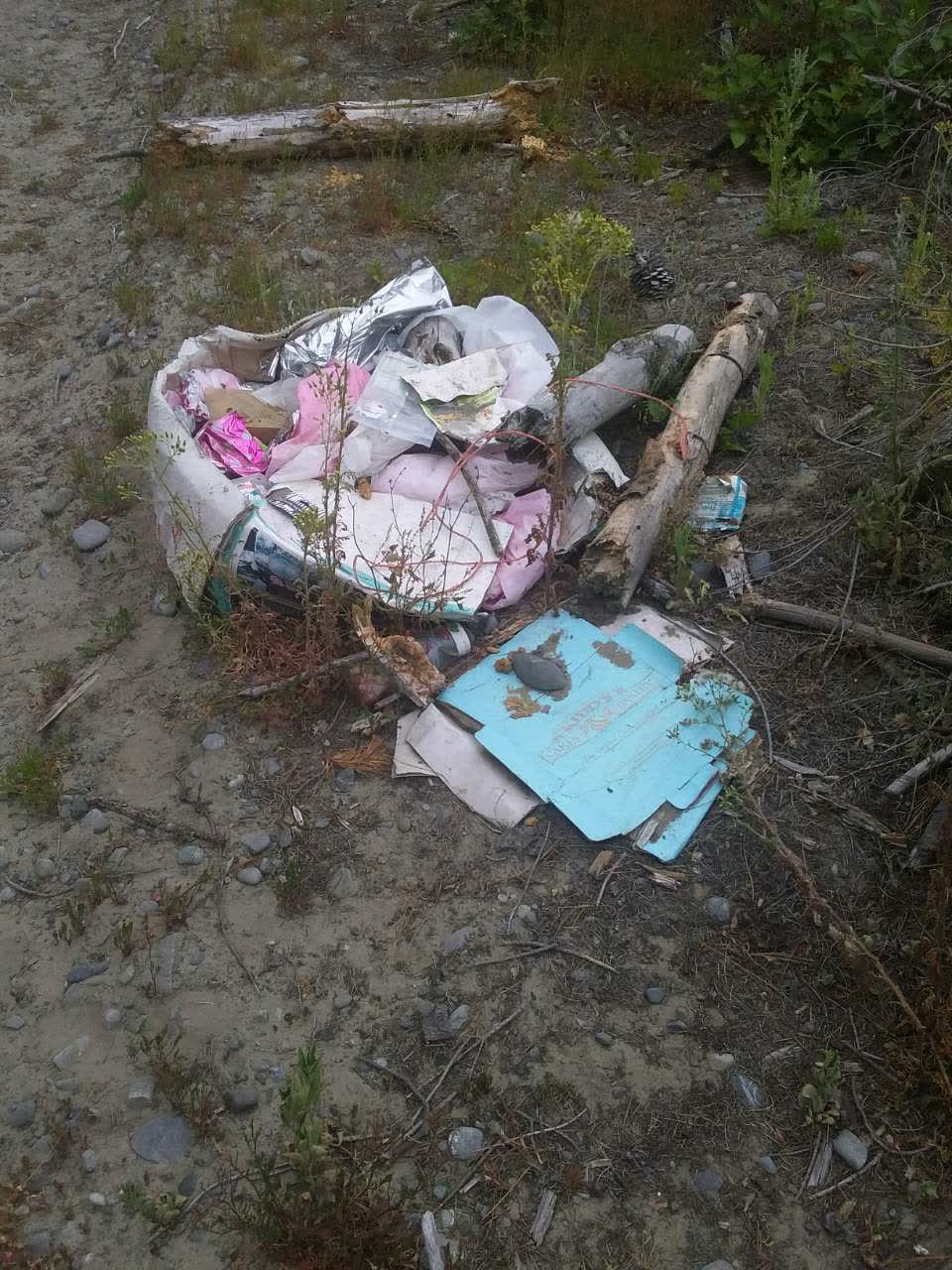 The photograph attached to this rubbish/recycling report