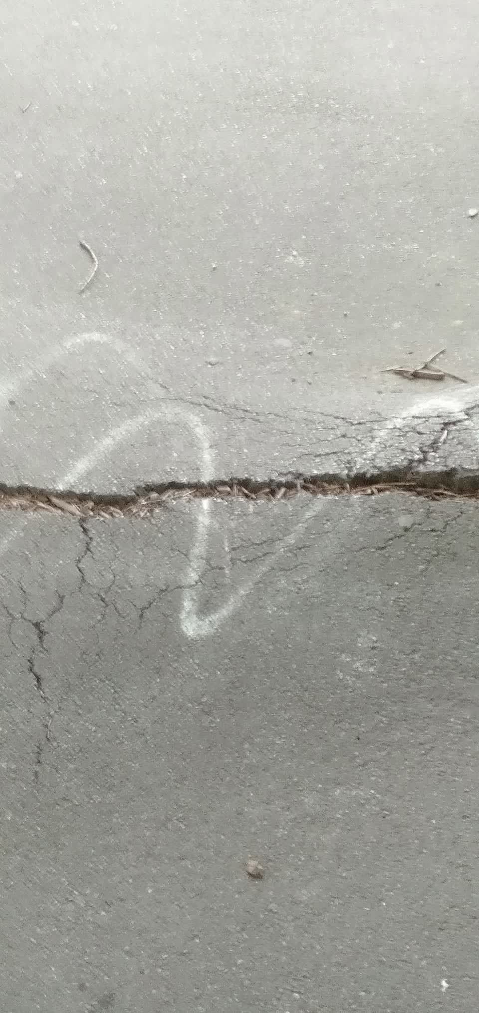 The photograph attached to this roading/streets report