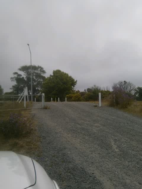 Parks, a report photo