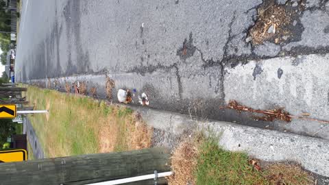 Roading/Streets, a report photo
