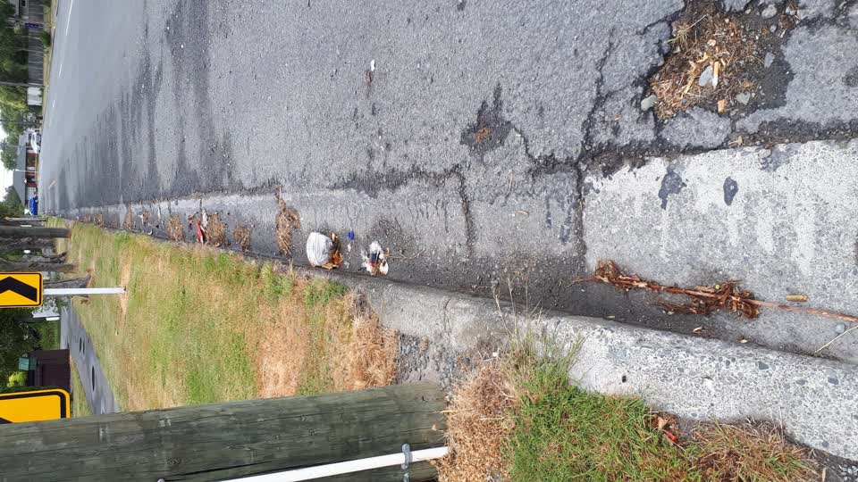 The photograph attached to this roading/streets report