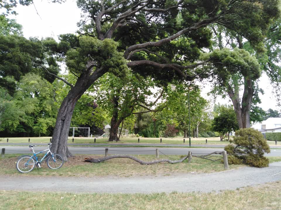 The photograph attached to this parks report