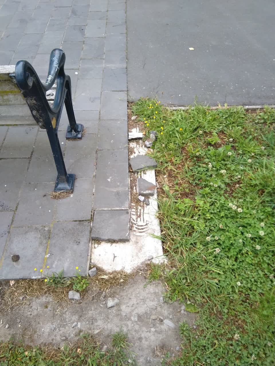 The photograph attached to this parks report