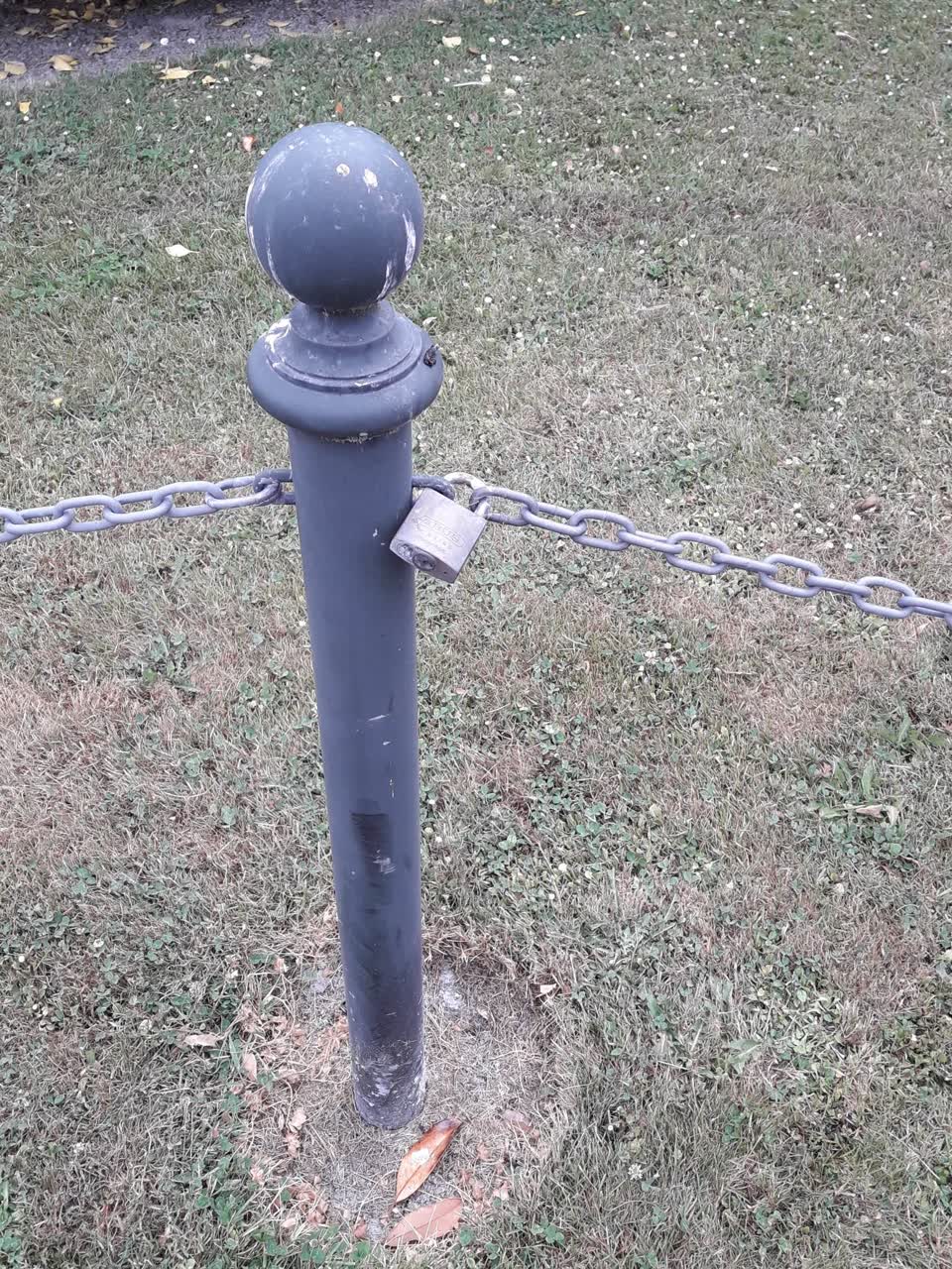 The photograph attached to this parks report