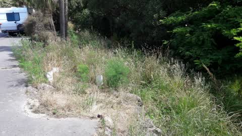 Parks, a report photo