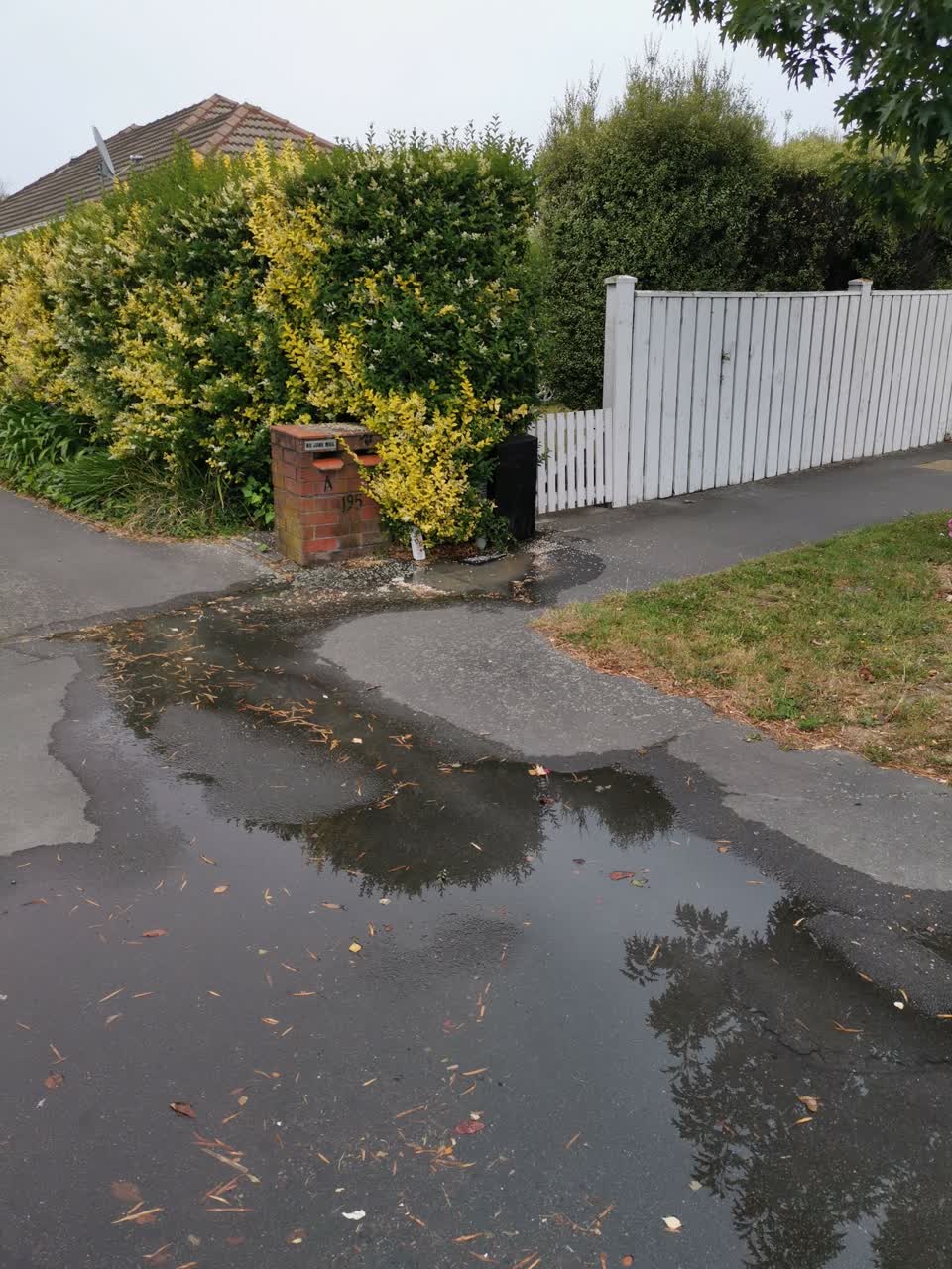 The photograph attached to this water leak report