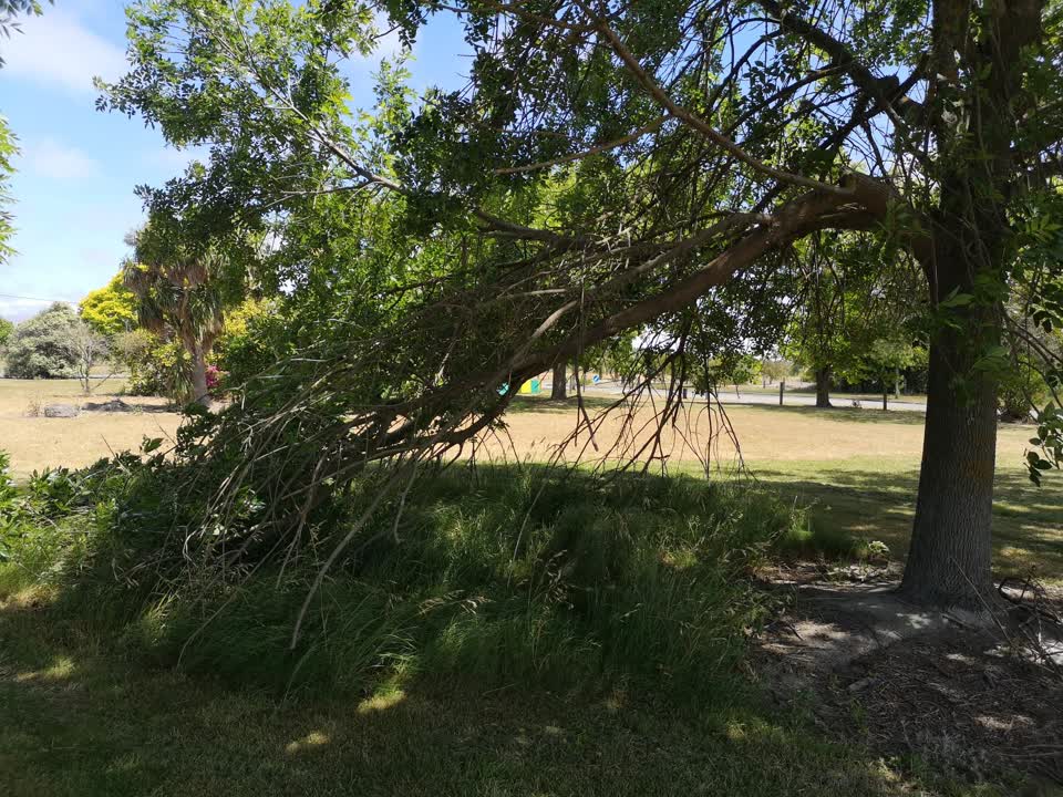 The photograph attached to this parks report