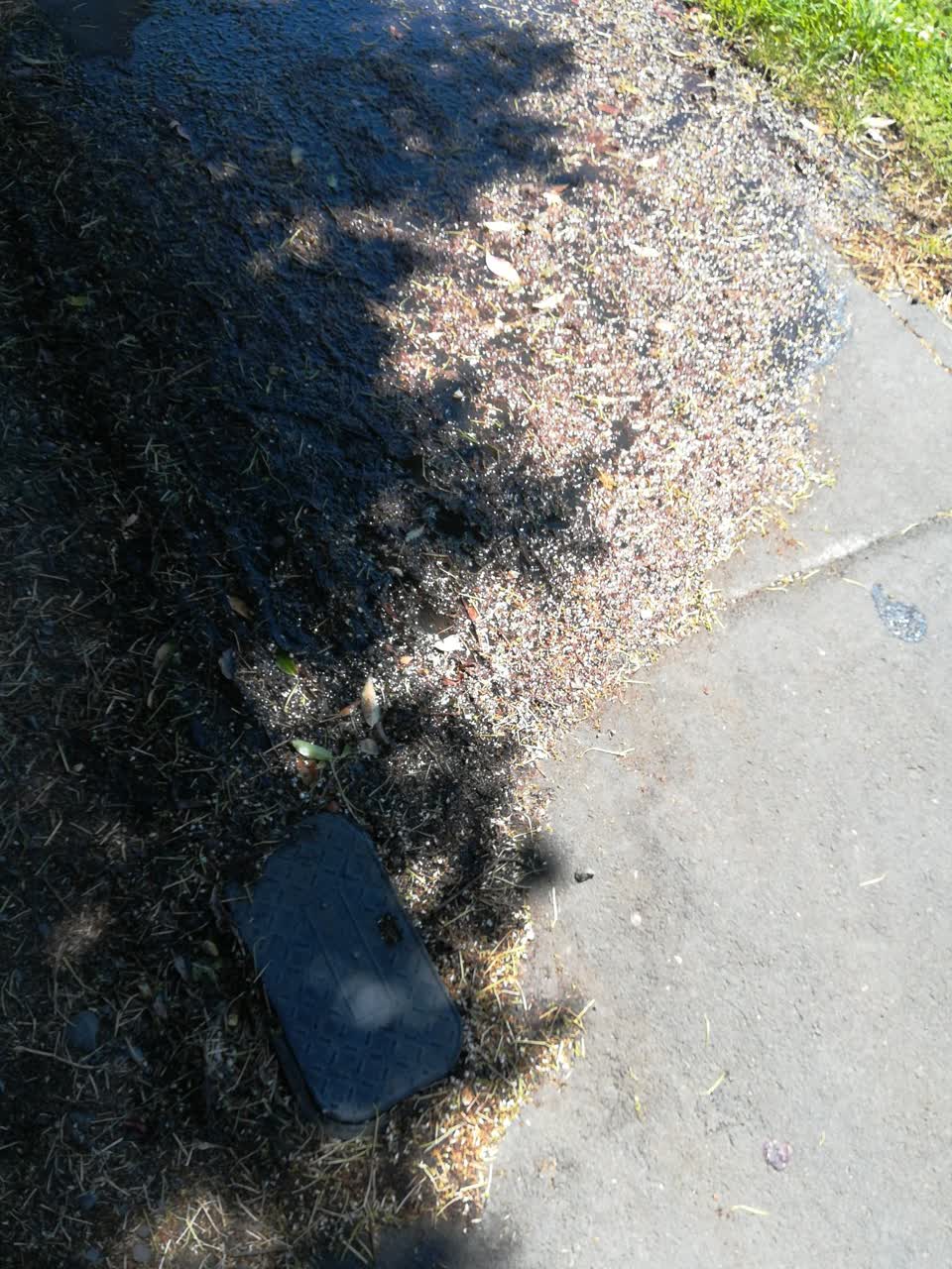 The photograph attached to this water leak report