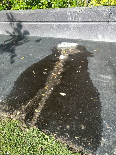 Water Leak, a report photo