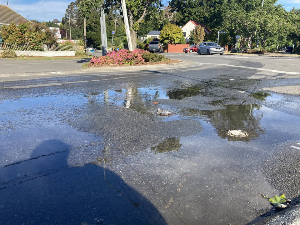 The photograph attached to this water leak report