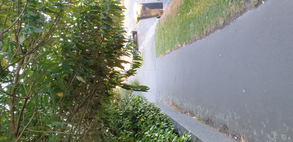 The photograph attached to this street light outage report
