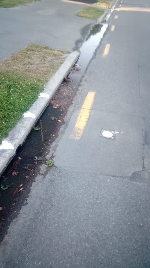 Water Leak — a report photo