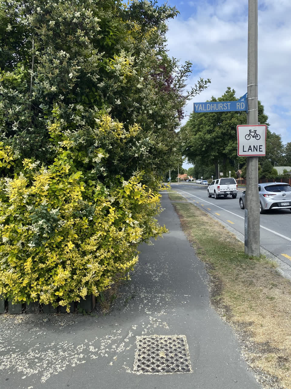 The photograph attached to this roading/streets report