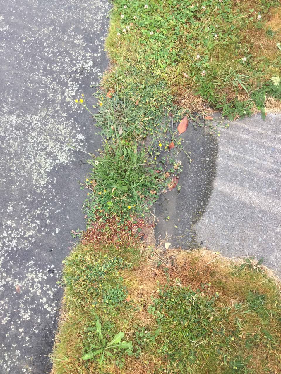 The photograph attached to this water leak report