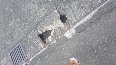 Street Light Outage, a report photo