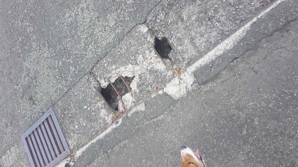 The photograph attached to this street light outage report