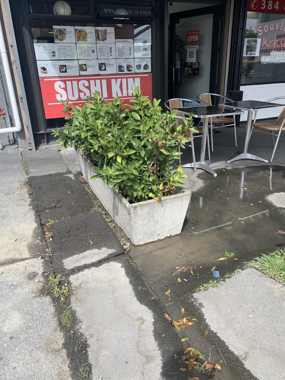 The photograph attached to this water leak report