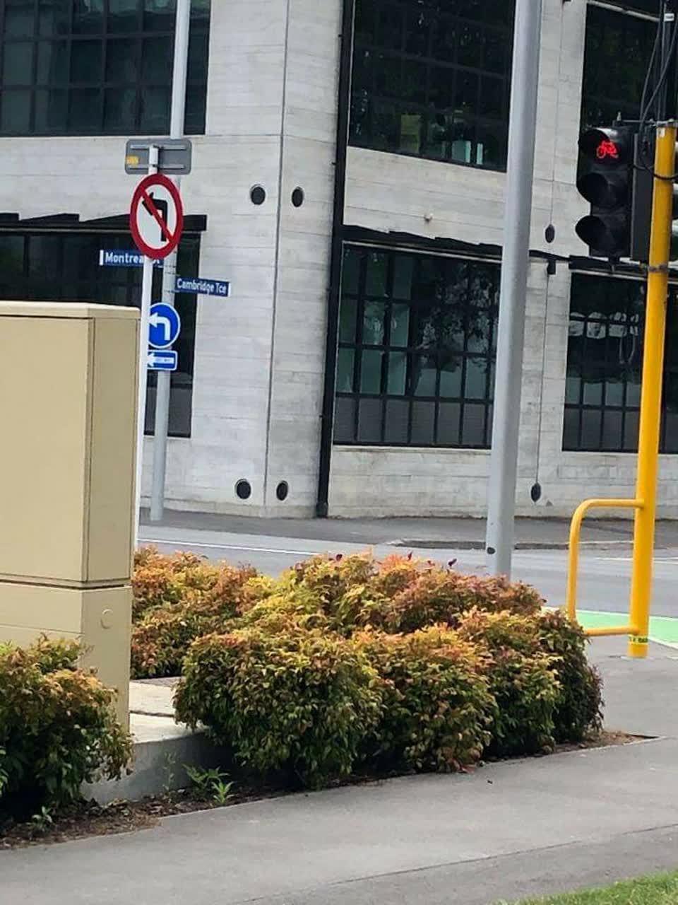 The photograph attached to this parks report