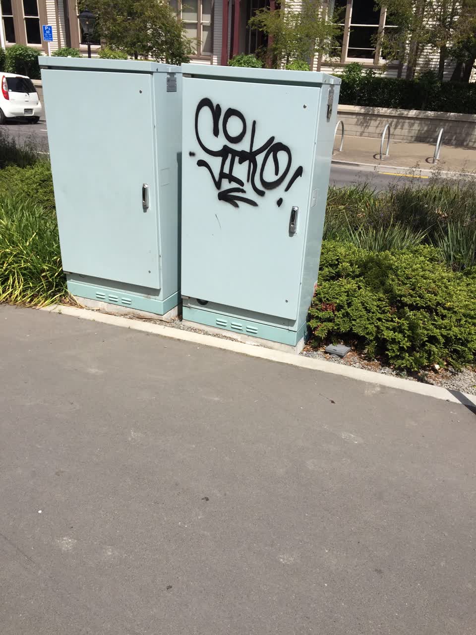 The photograph attached to this graffiti report