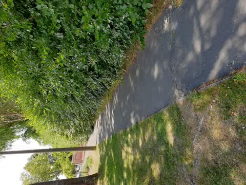 Roading/Streets, a report photo
