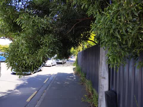 Street Light Outage, a report photo