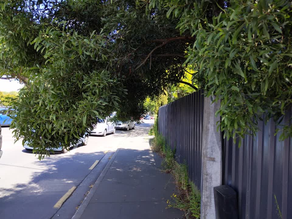 The photograph attached to this street light outage report