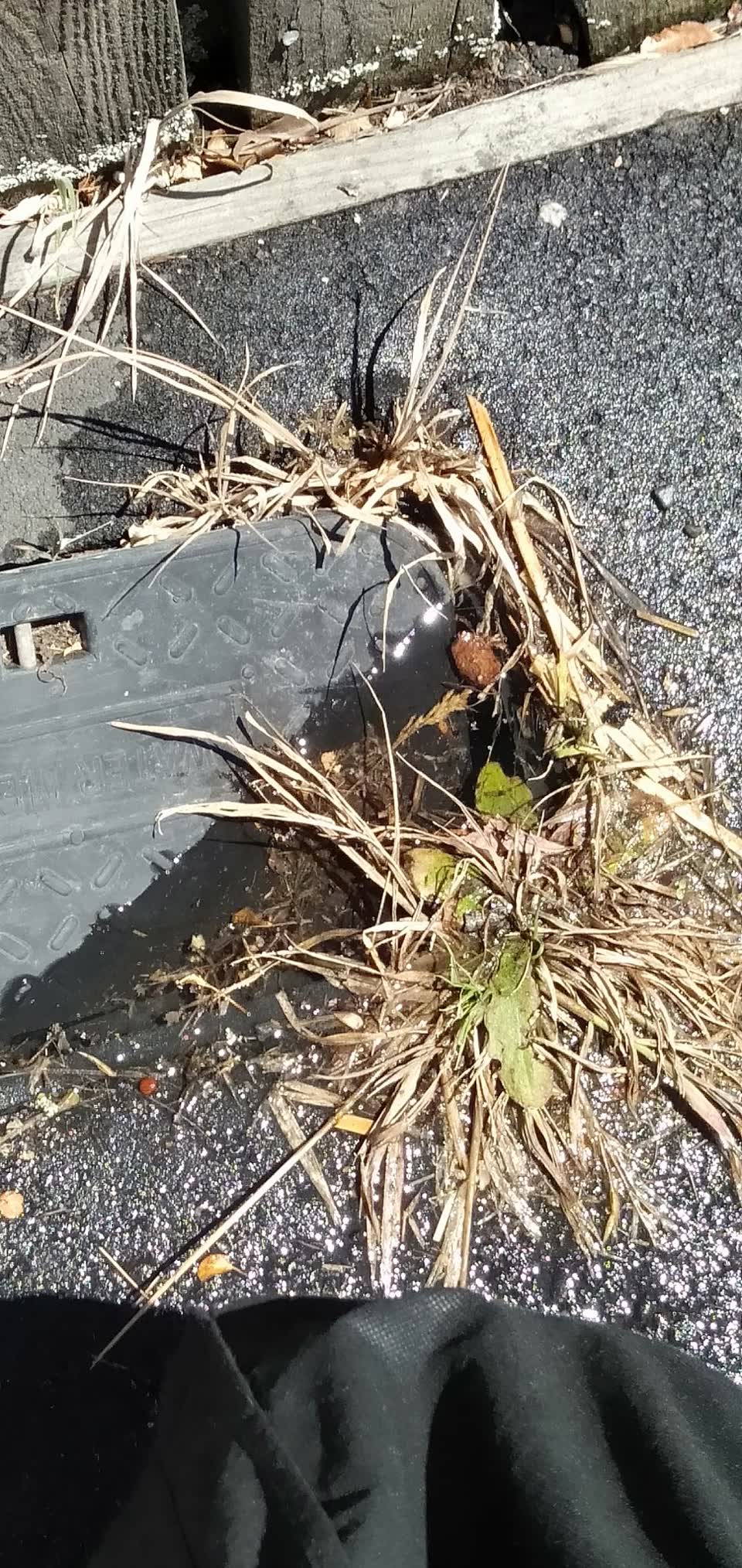 The photograph attached to this water leak report