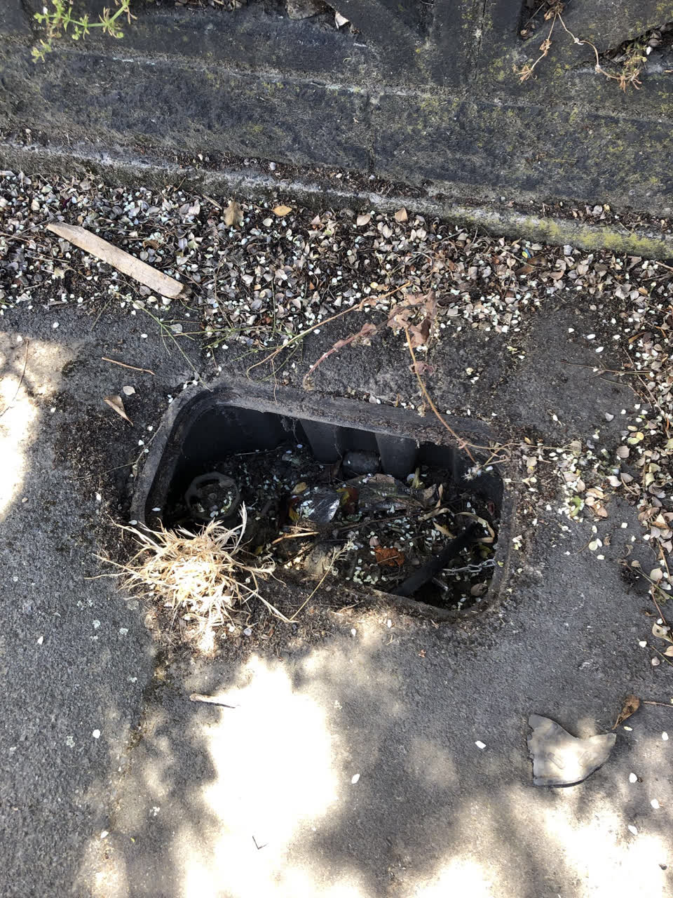 The photograph attached to this water supply report