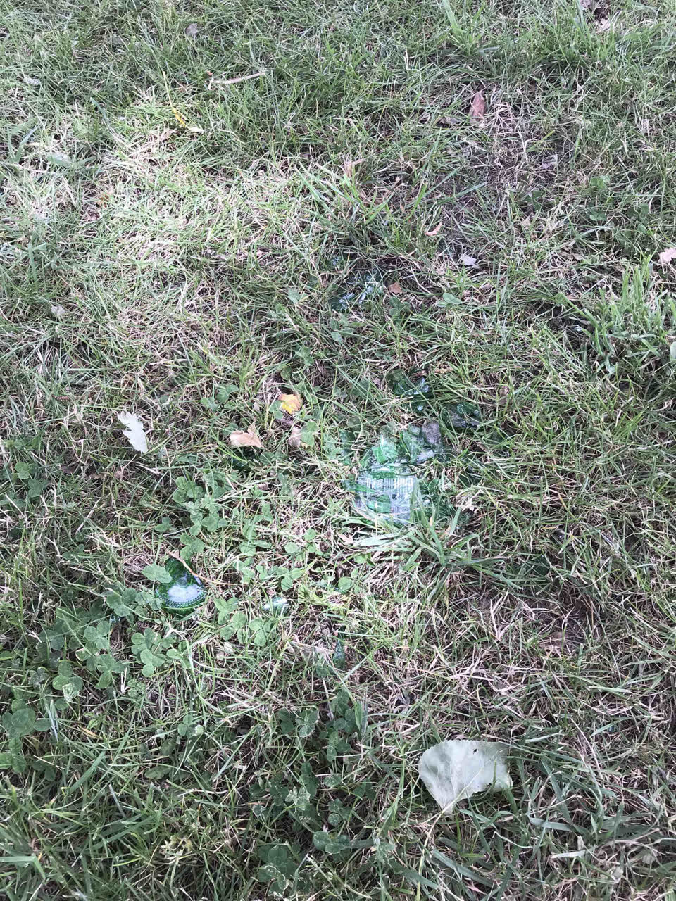 The photograph attached to this parks report
