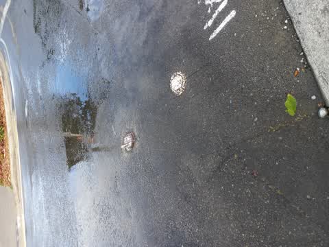 Water Leak, a report photo