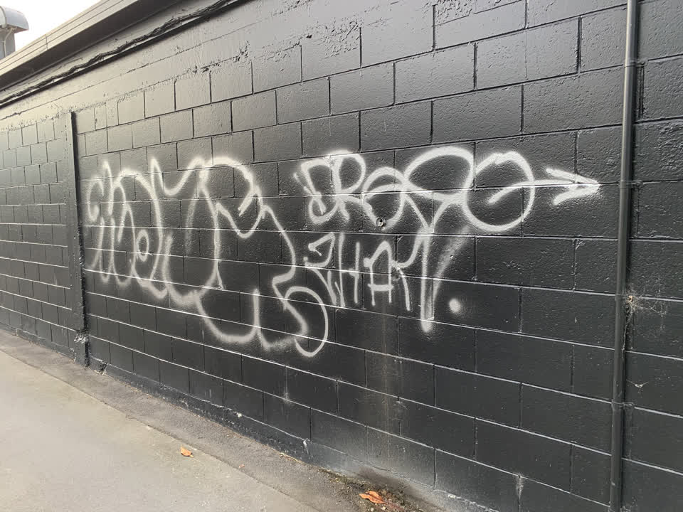 The photograph attached to this graffiti report