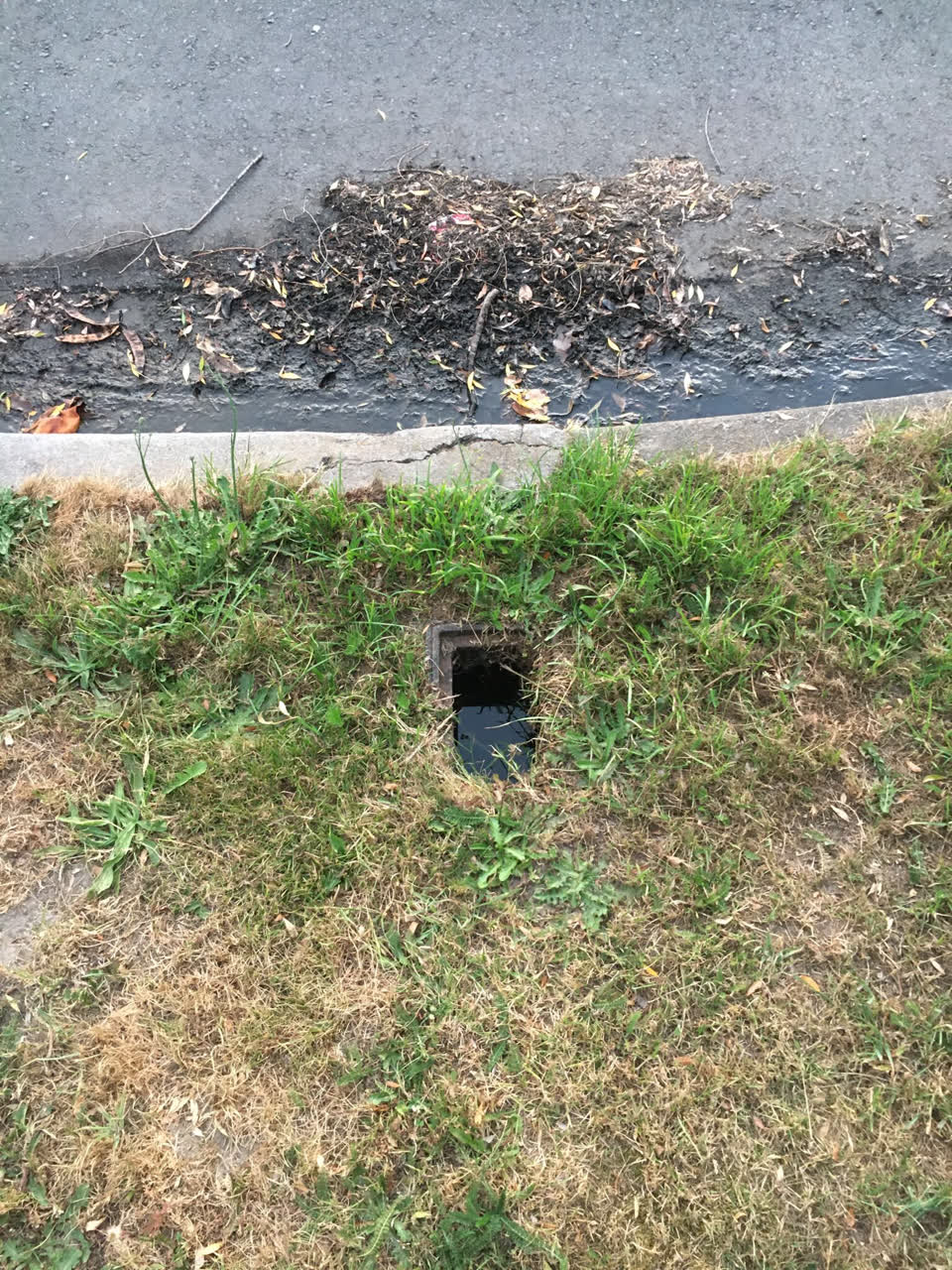 The photograph attached to this water leak report