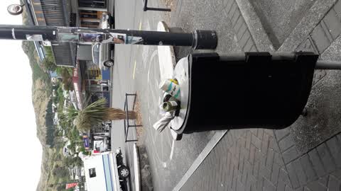 Rubbish/Recycling, a report photo