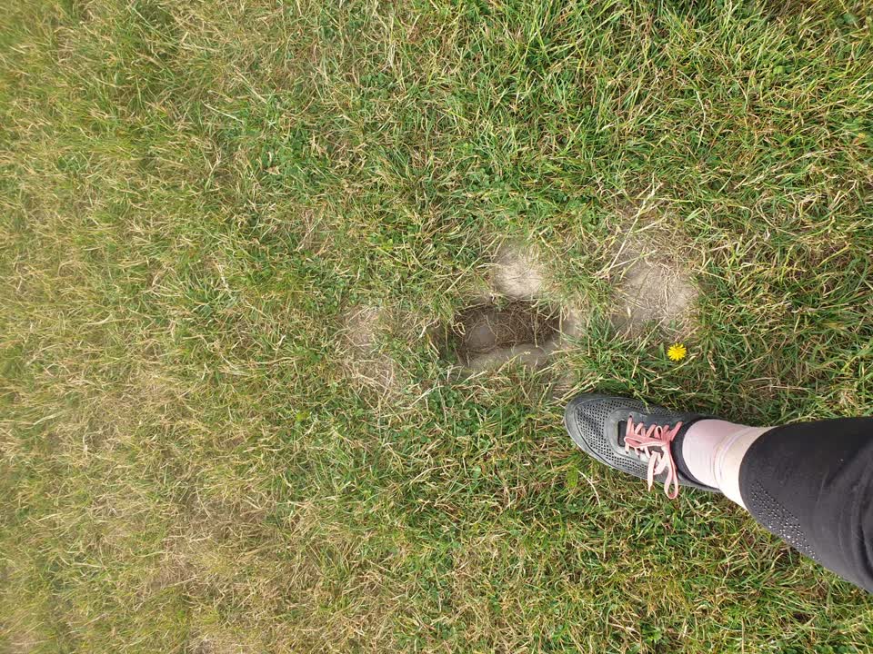 The photograph attached to this parks report