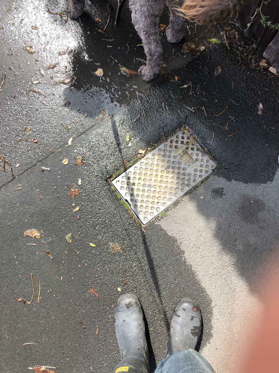 The photograph attached to this water leak report
