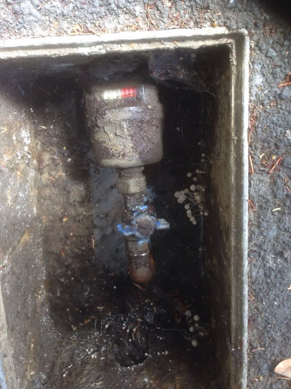The photograph attached to this water leak report