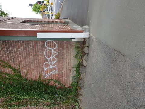Graffiti, a report photo