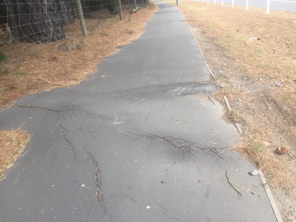The photograph attached to this roading/streets report