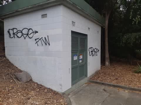 Graffiti, a report photo
