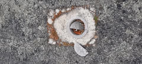 Roading/Streets, a report photo