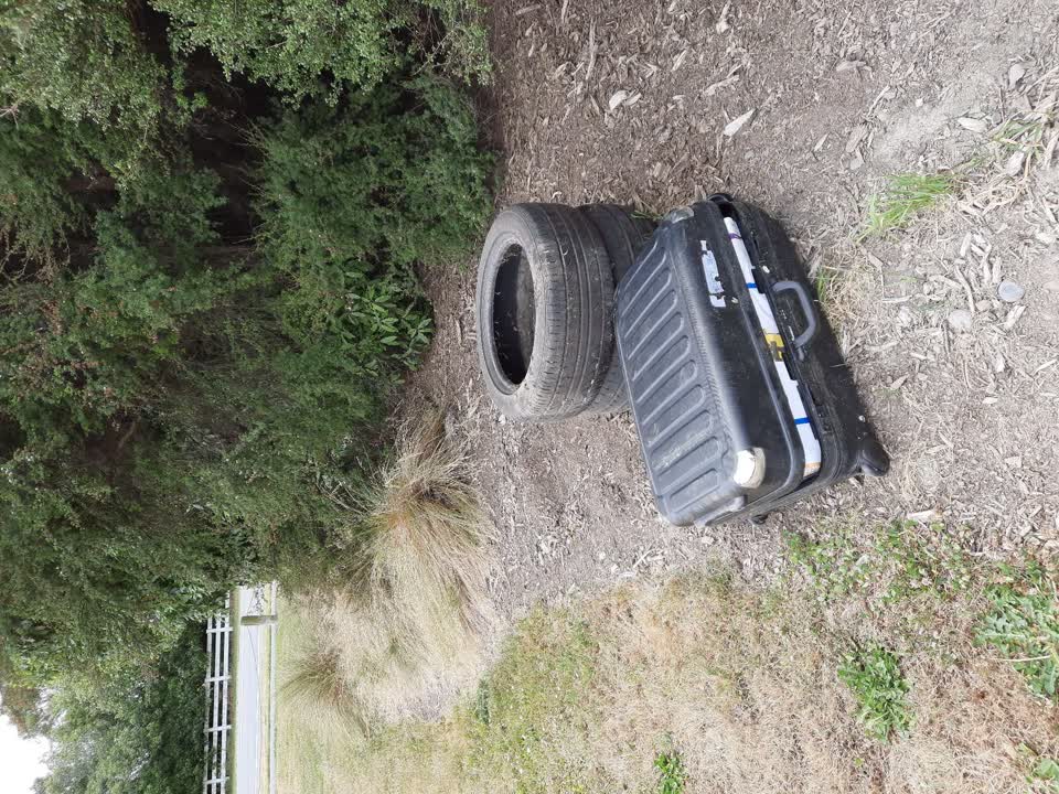 The photograph attached to this parks report